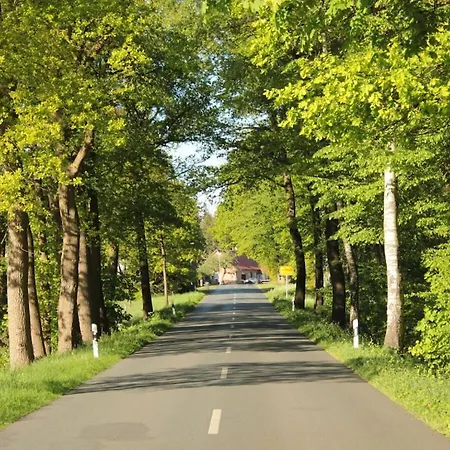 Dom wakacyjny With 1 Bedroom *